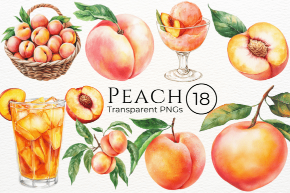 Download Peach Watercolor Cliparts - Peach Collection