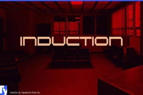 Download Induction - Premium Resources